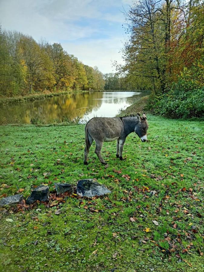 Deux Etangs Poissonneux Au Milieu Des Bois Avec Gite Moderne, La Halte Des Deux Lacs Rosee Ngoại thất bức ảnh