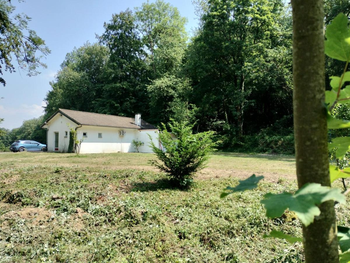 Deux Etangs Poissonneux Au Milieu Des Bois Avec Gite Moderne, La Halte Des Deux Lacs Rosee Ngoại thất bức ảnh