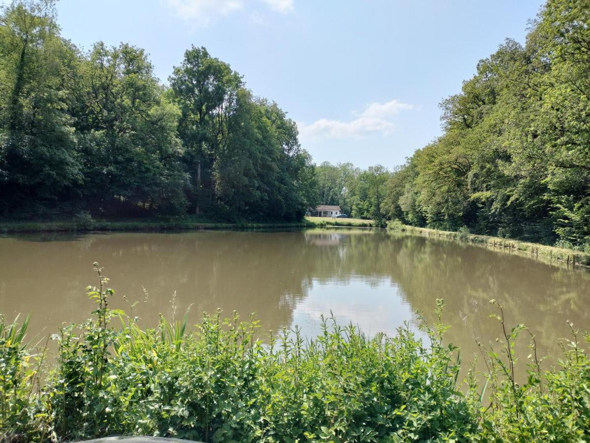Deux Etangs Poissonneux Au Milieu Des Bois Avec Gite Moderne, La Halte Des Deux Lacs Rosee Ngoại thất bức ảnh