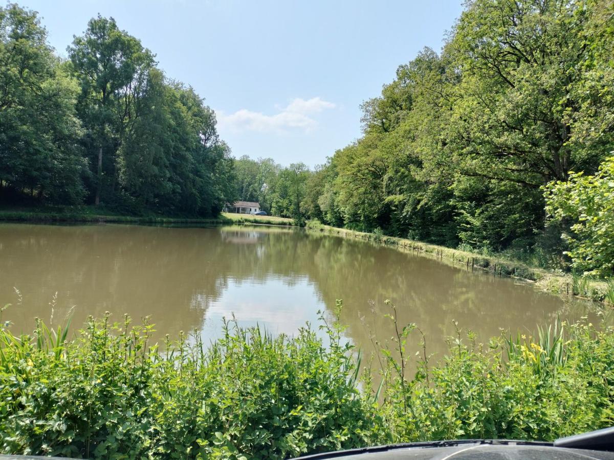 Deux Etangs Poissonneux Au Milieu Des Bois Avec Gite Moderne, La Halte Des Deux Lacs Rosee Ngoại thất bức ảnh