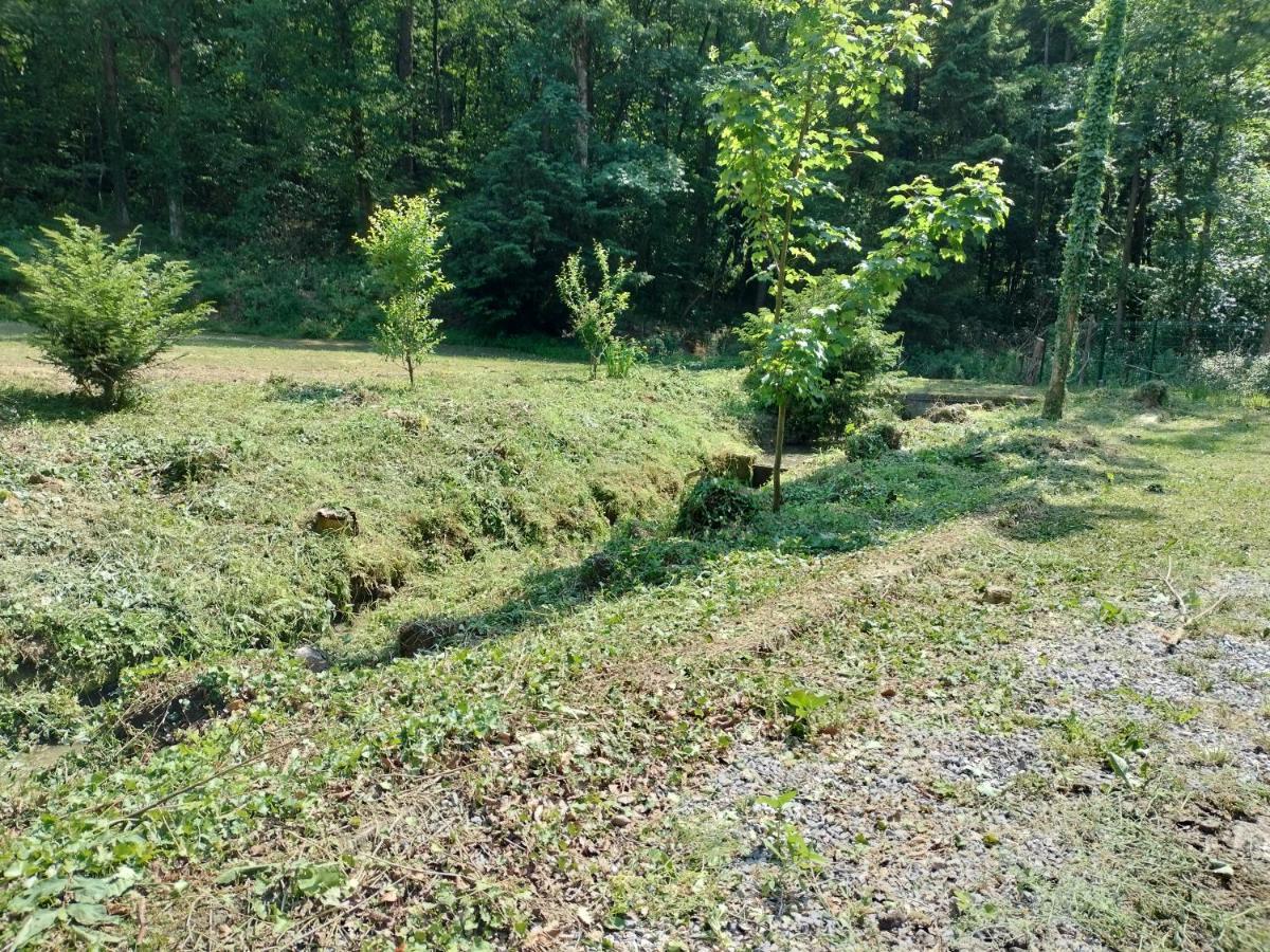 Deux Etangs Poissonneux Au Milieu Des Bois Avec Gite Moderne, La Halte Des Deux Lacs Rosee Ngoại thất bức ảnh