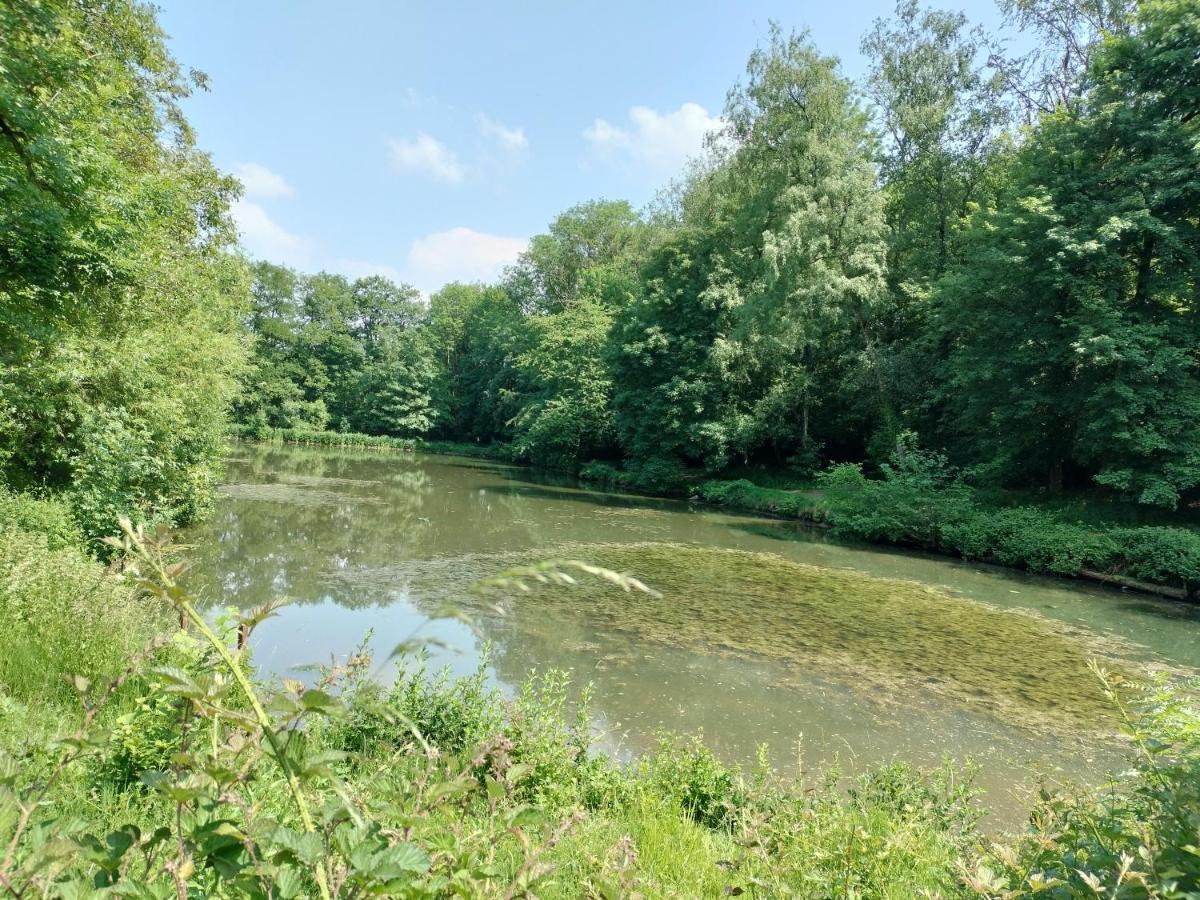 Deux Etangs Poissonneux Au Milieu Des Bois Avec Gite Moderne, La Halte Des Deux Lacs Rosee Ngoại thất bức ảnh